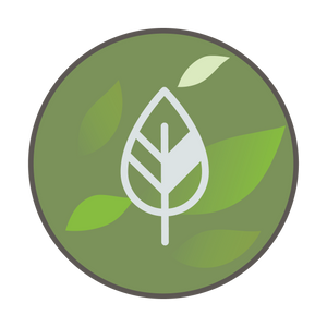 tea leaf icon