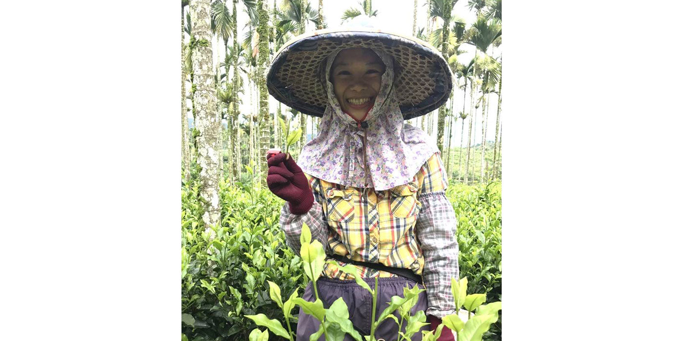 Formosan Auroma Sun Moon Lake (Ruby) Tea – Formosan Farms