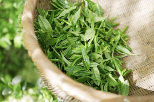wooden basket containing green tea leaves