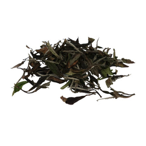 Pinglin White Tea whole tea leaves on white surface